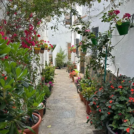 דירה Lovely In קסרס